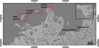 Effective Monitoring of Permafrost Coast Erosion: Wide-scale Storm Impacts on Outer Islands in the Mackenzie Delta Area